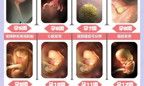 有助宝宝排便的食物网 :分享有助宝宝排便的食物和水果-帮助宝宝排便的真香姿势知识